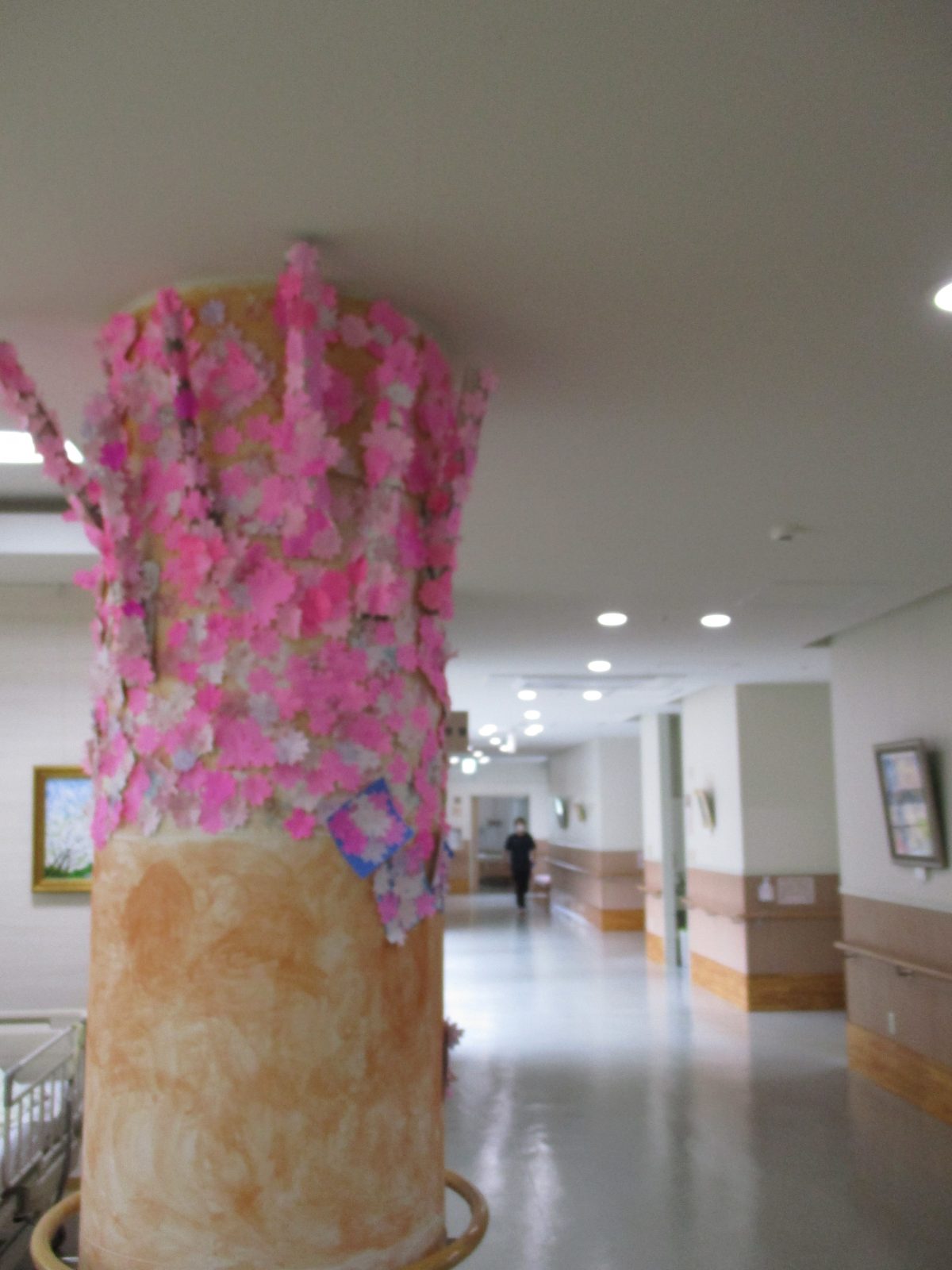 1Ｆ病棟に桜の花が咲きました！